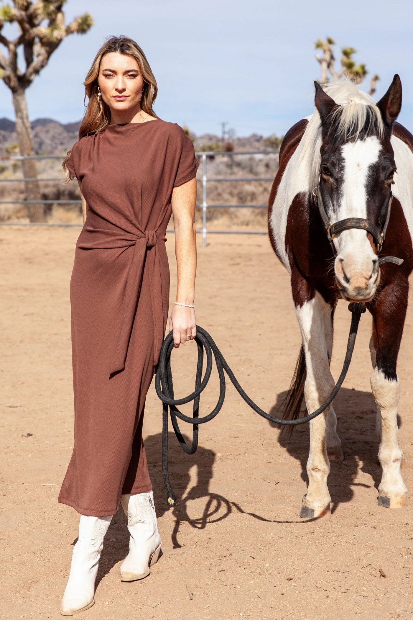 Astrid Dress / Mocha Layer Base Anti-bacterial