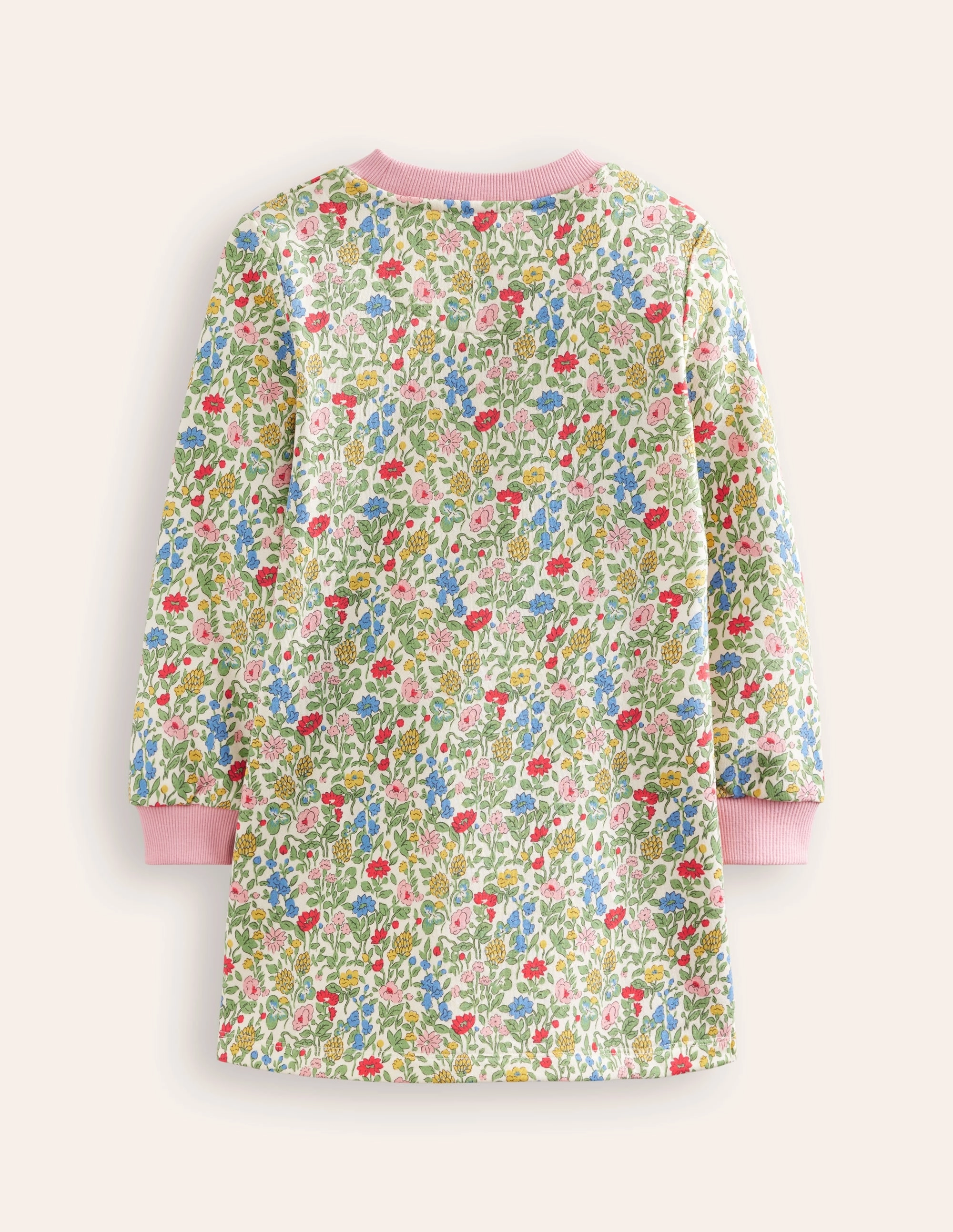 Ida Sweatshirt Appliqu Dress-Multi Meadow Floral Dinosaurs petite size Contemporary Wear