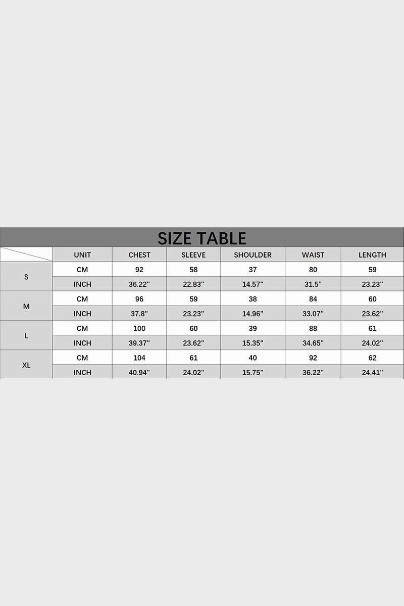 LANTERN SLEEVE RUFFLED SWISS DOT CHIFFON TUNIC Subtle Texture Weave