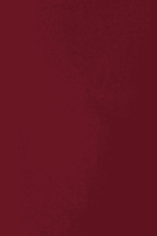 Nanda Dress Burgundy Lightweight-Structure