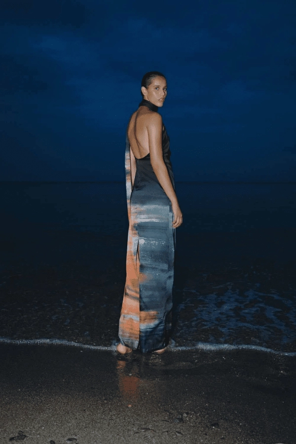 Moment Light Sheer Panel Ari Dress Tigre